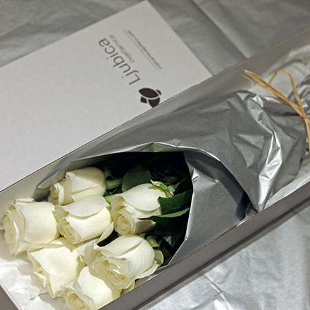 Bijele ruže u kutiji - cvjecarnicaljubica.com