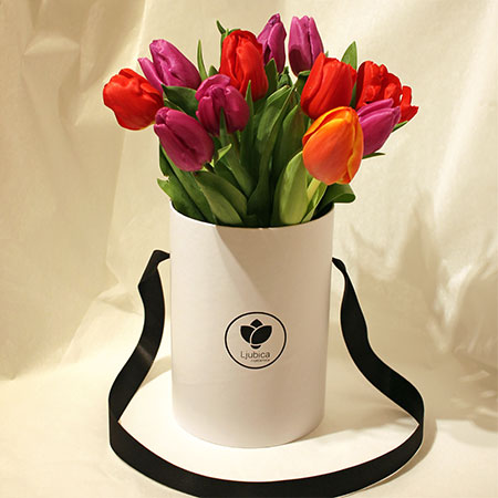 Tulipani flower box B - cvjecarnicaljubica.com