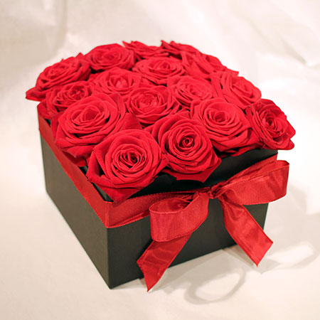 Crvene ruže black box - cvjecarnicaljubica.com