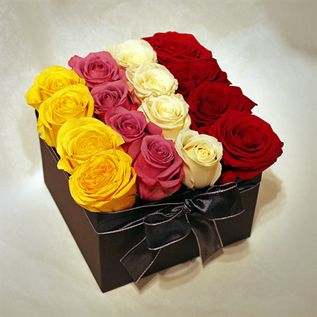 Šarene ruže stripe box - cvjecarnicaljubica.com