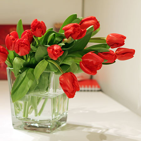 Crveni tulipani u vazi - cvjecarnicaljubica.com