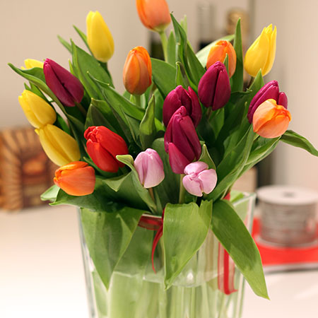 Šareni tulipani u vazi - cvjecarnicaljubica.com