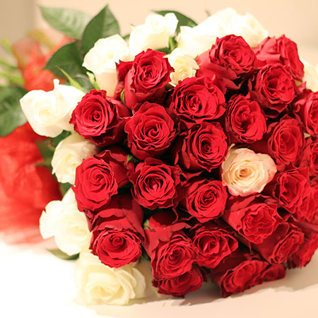 Buket 50 ruža - cvjecarnicaljubica.com